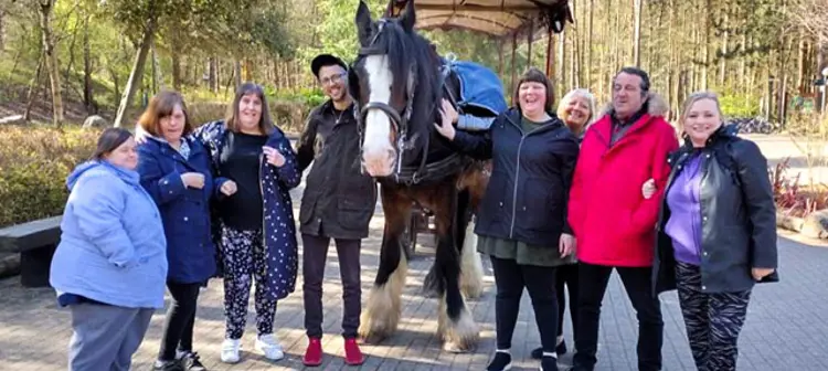 Group of people with a horse