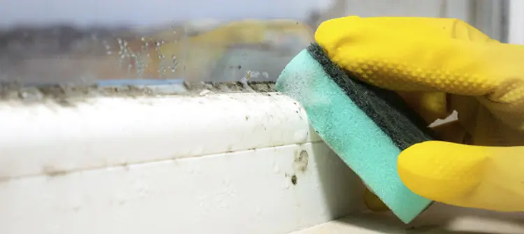 Hand with glove and sponge cleaning