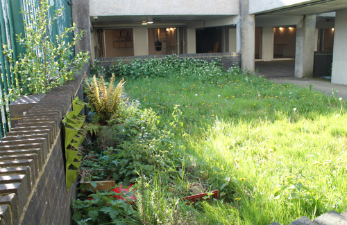 Open Havelock garden